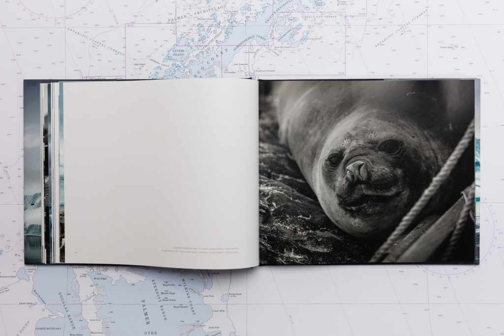 A seal pictured in the book.