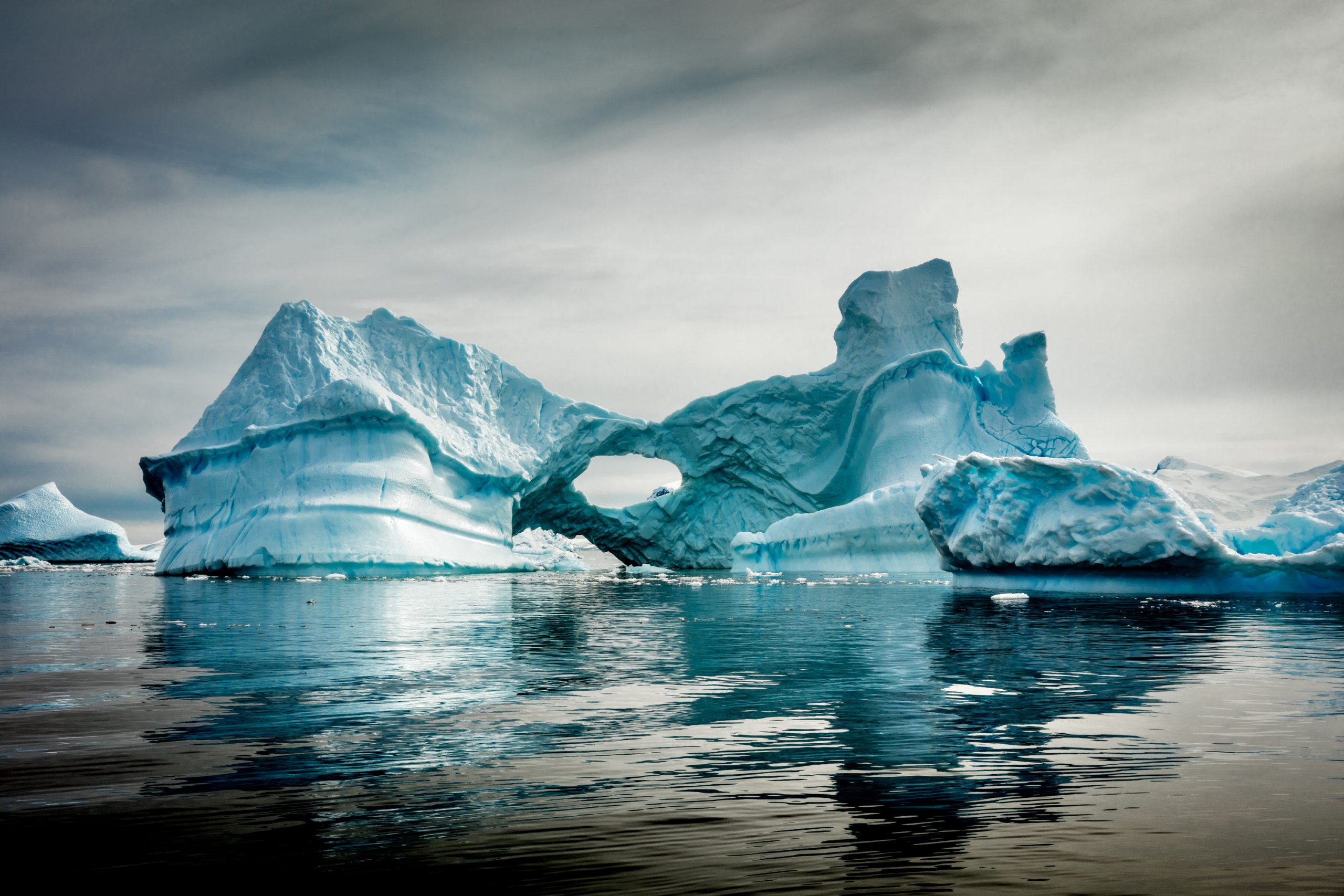 Iceberg Cuverville Island